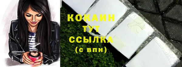 шишки Аркадак