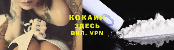 шишки Аркадак