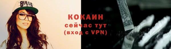 шишки Аркадак