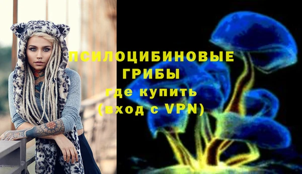 шишки Аркадак