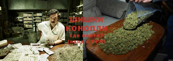 шишки Аркадак