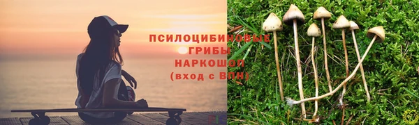 spice Алзамай